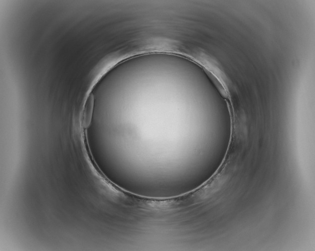 X0000115791389200911201323