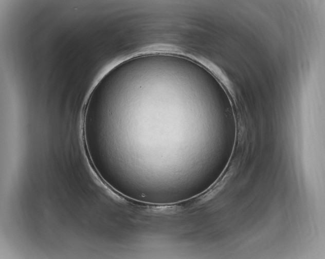 X0000115791390200911201323