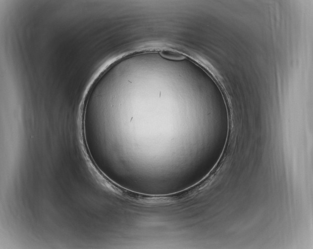 X0000115791392200911201323