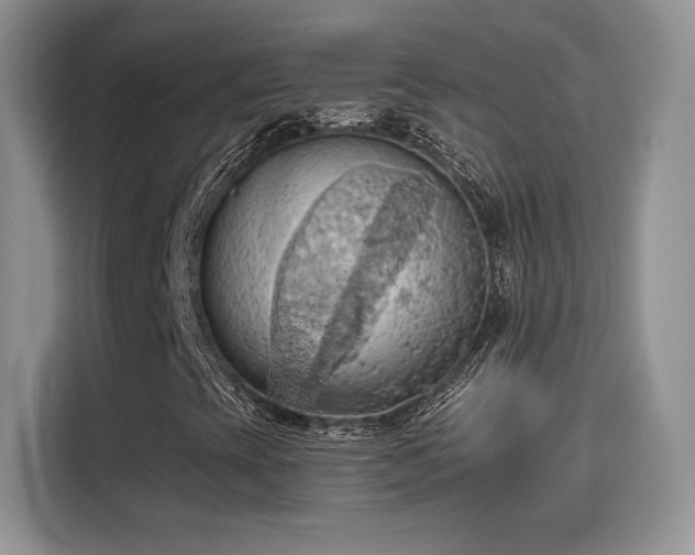 X0000115791393200911201322