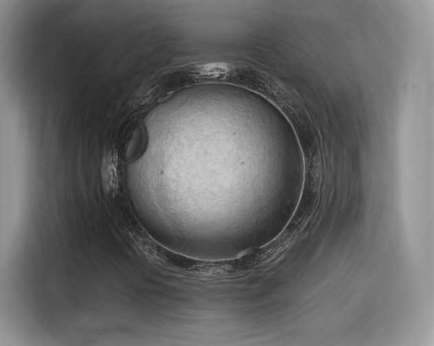 X0000115791394200911201322