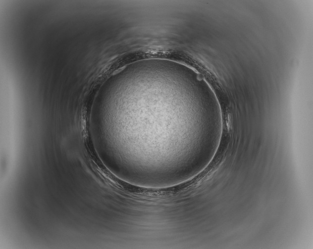 X0000115791396200911201322