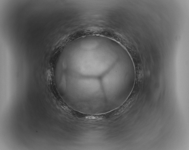 X0000115791397200911201322