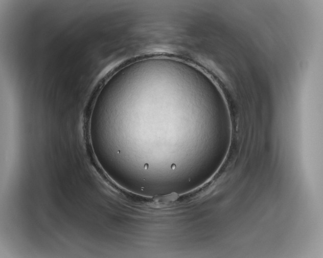 X0000115791404200911201322