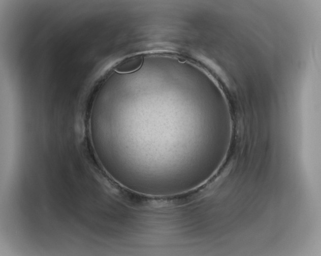 X0000115791407200911201322