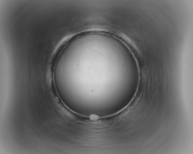 X0000115791408200911201322