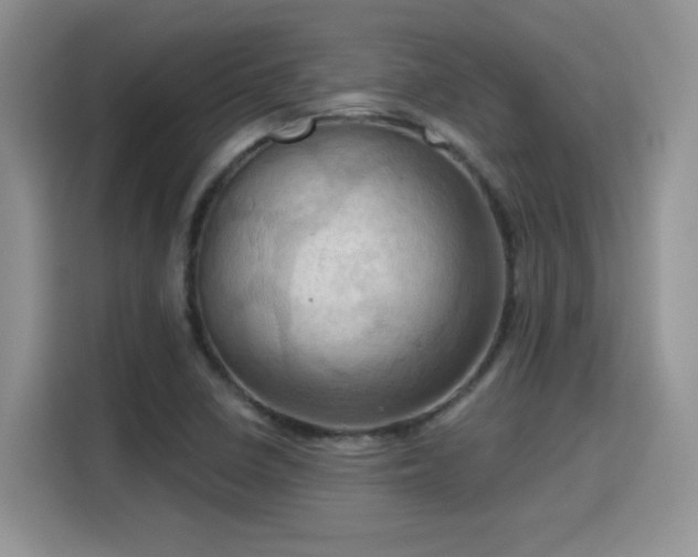 X0000115791410200911201323