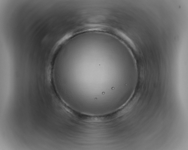 X0000115791411200911201323