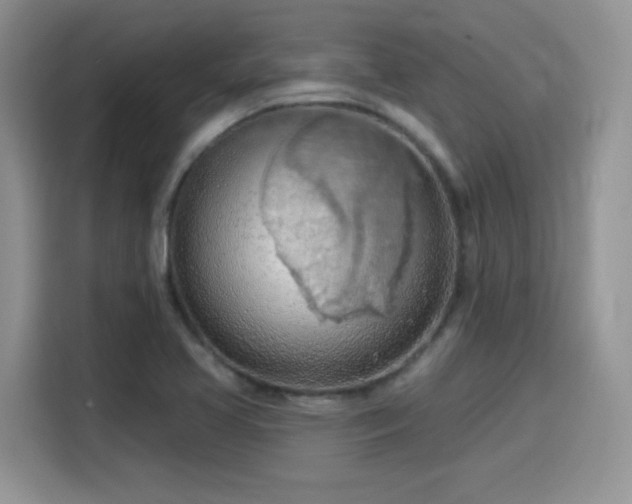 X0000115791413200911201323