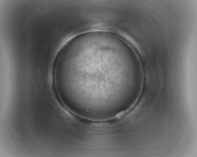 X0000115791415200911201323