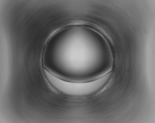 X0000115791417200911201323