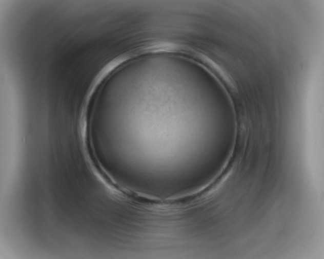 X0000115791418200911201323