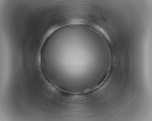 X0000115791419200911201323