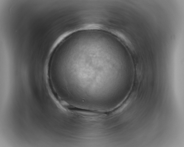 X0000115791422200911201323