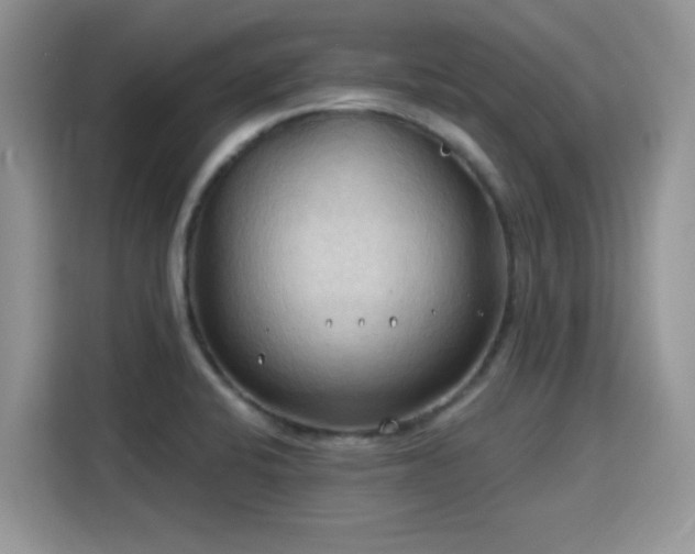 X0000115791424200911201323