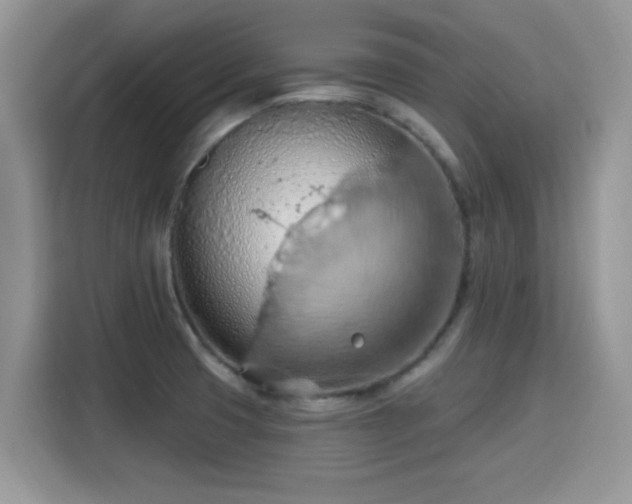 X0000115791425200911201323