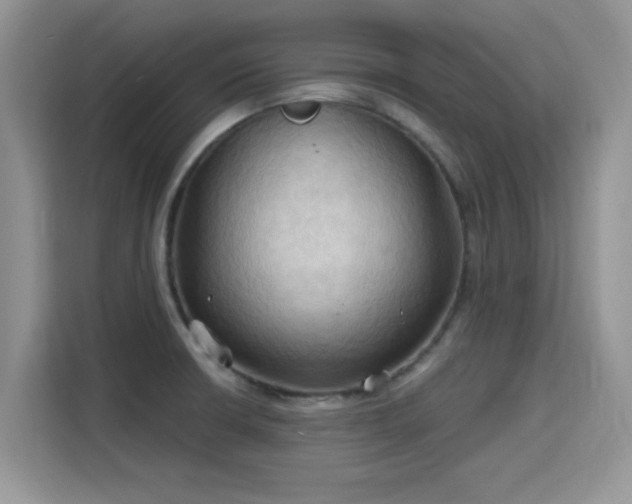 X0000115791426200911201323