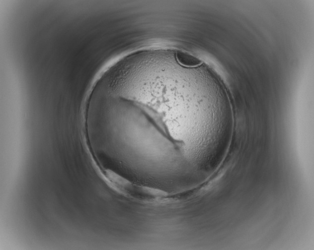 X0000115791429200911201323