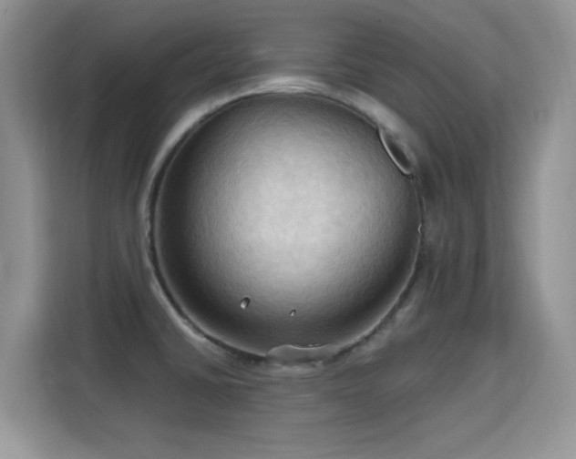 X0000115791430200911201323