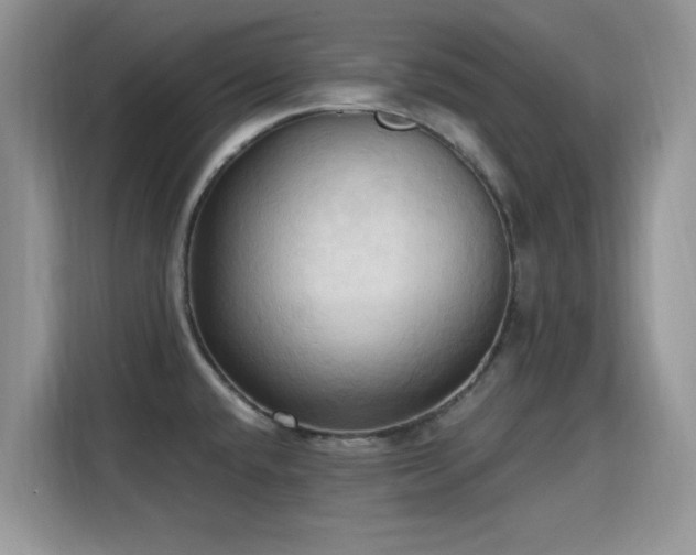 X0000115791432200911201323