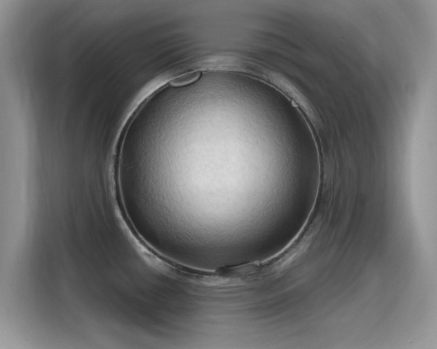 X0000115791434200911201323