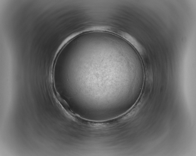 X0000115791436200911201323