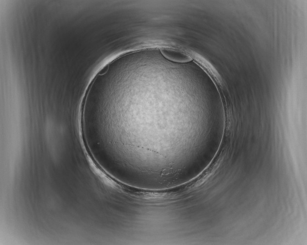 X0000115791439200911201323