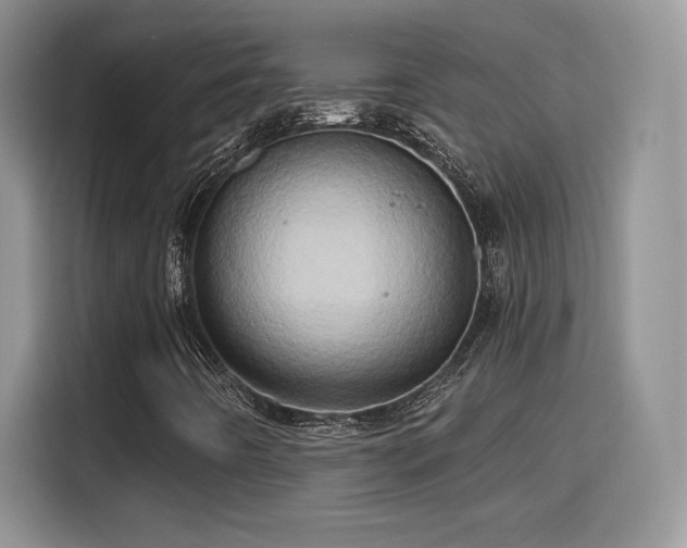 X0000115791442200911201322