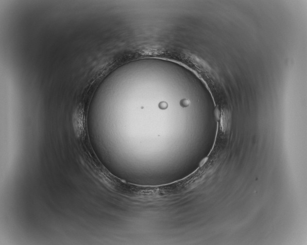 X0000115791444200911201322