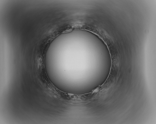 X0000115791445200911201322