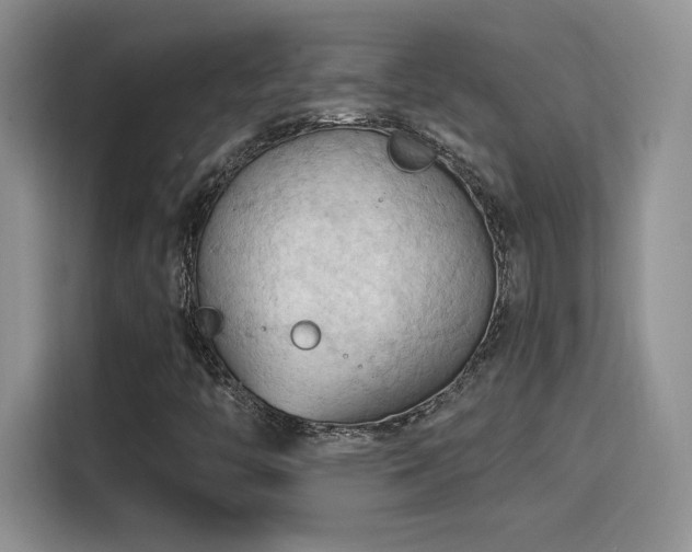 X0000115791446200911201322