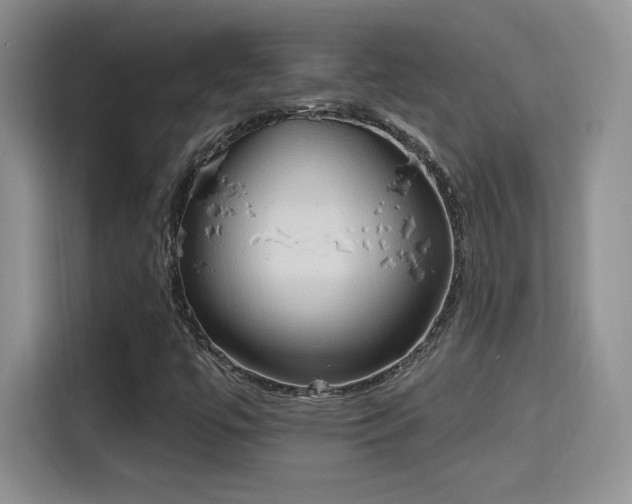 X0000115791447200911201322