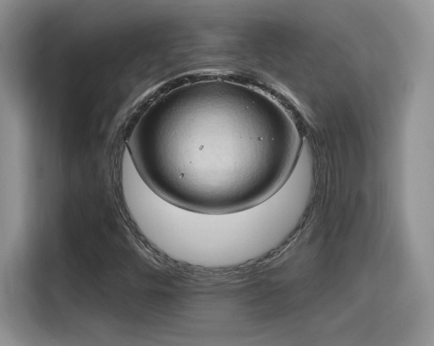 X0000115791448200911201322