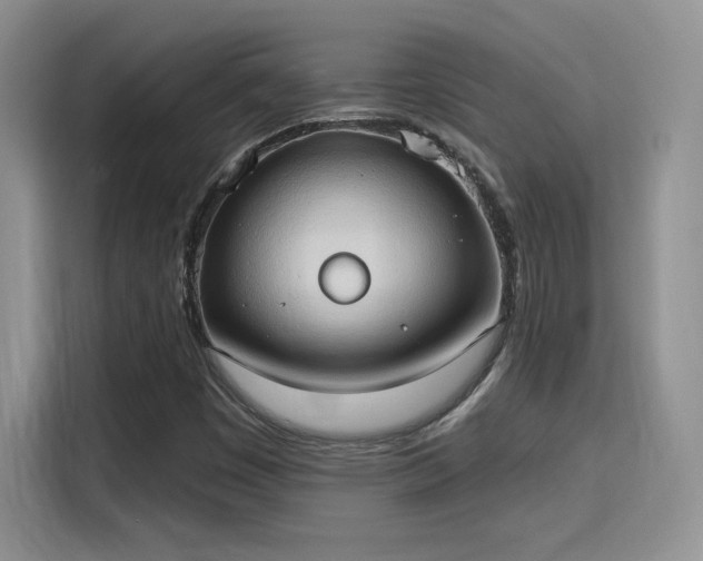 X0000115791449200911201322