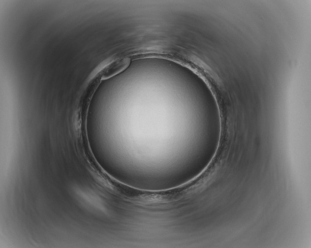 X0000115791450200911201322