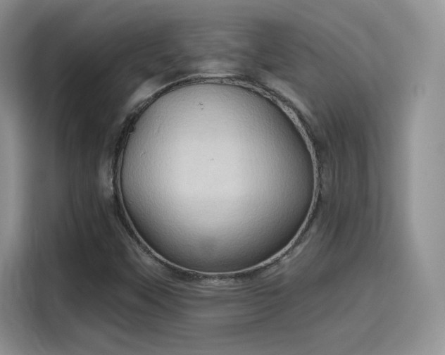 X0000115791451200911201322