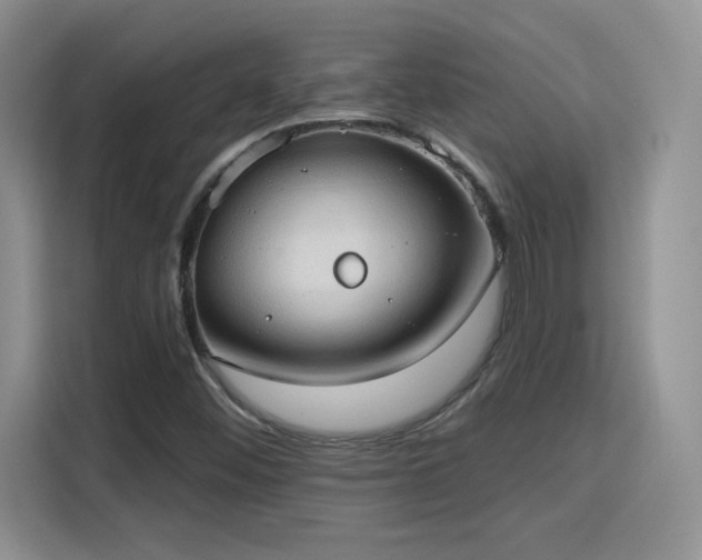 X0000115791452200911201322