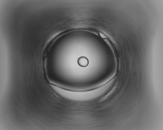 X0000115791453200911201322