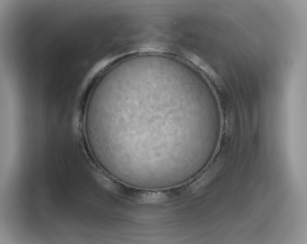 X0000115791454200911201322