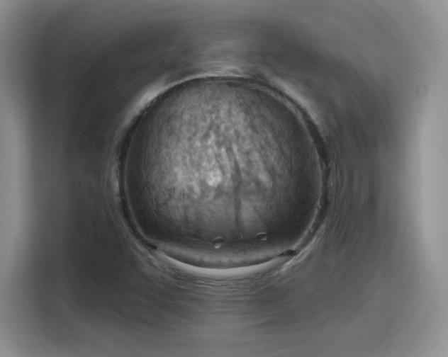 X0000115791455200911201322