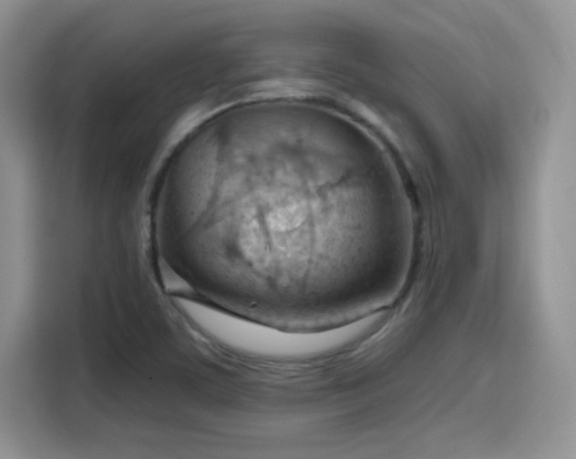 X0000115791459200911201322