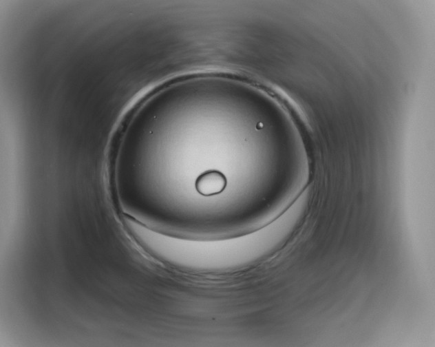 X0000115791460200911201322