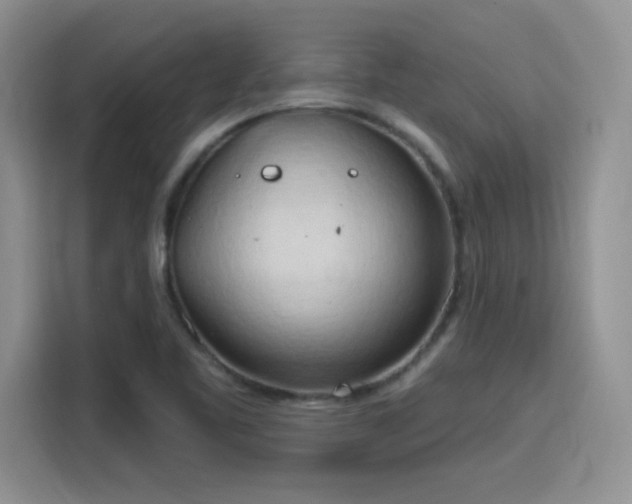 X0000115791461200911201322