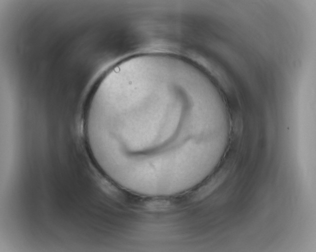 X0000115791462200911201322