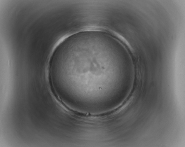 X0000115791463200911201322