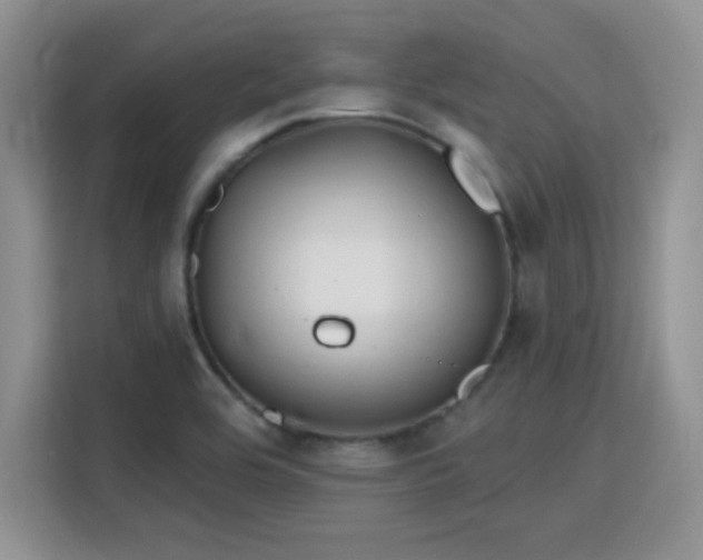 X0000115791464200911201322