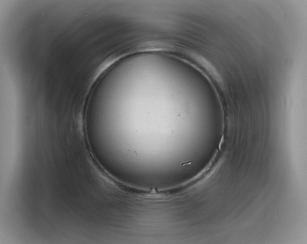 X0000115791465200911201322