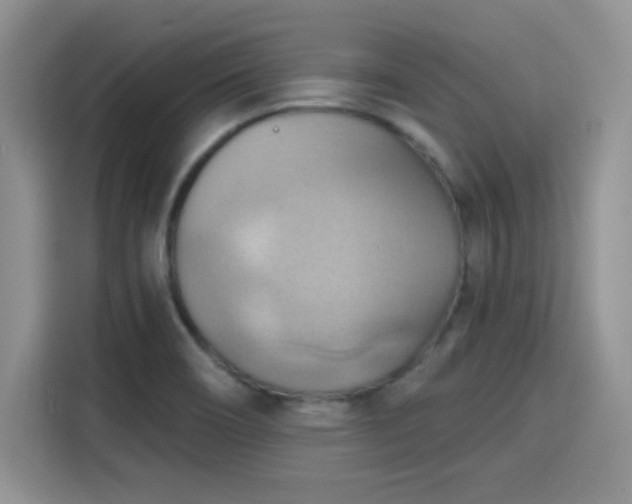 X0000115791466200911201322