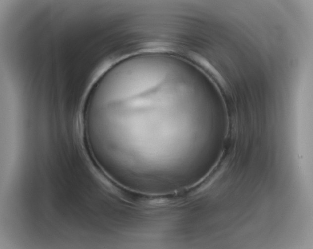 X0000115791467200911201322