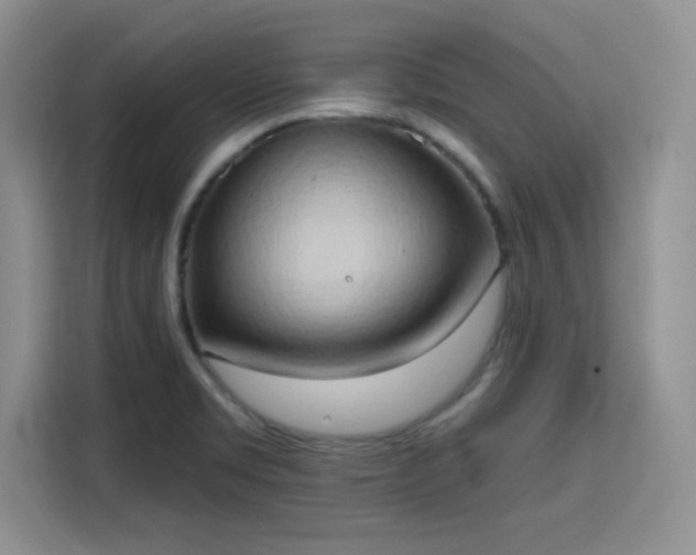 X0000115791469200911201322